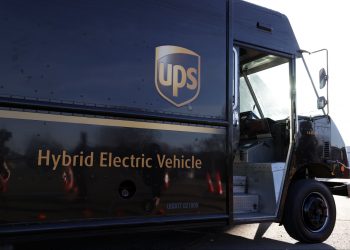 UPS Driver Saves Dogs From Pool