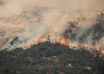 3 Steps to Prepare Your Business for Wildfire Season