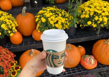 Starbucks Pumpkin Drinks Shatter Company Records
