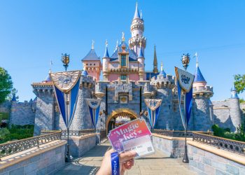 Rising Disney Costs Price Out Loyal Fans