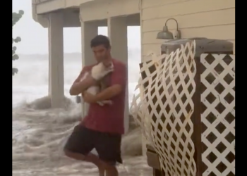 Man Rescues Cat From Hurricane in Emotional Video
