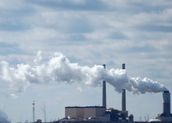 Program cutting carbon emissions from ads goes global with agency backing