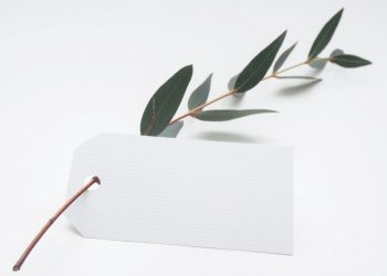 Cross-selling and Upselling: What to Know Before Getting Started