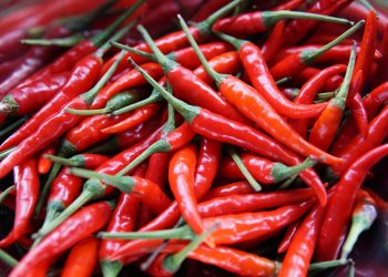 CHILI publish raises €10 million to help firms scale on-brand graphic production