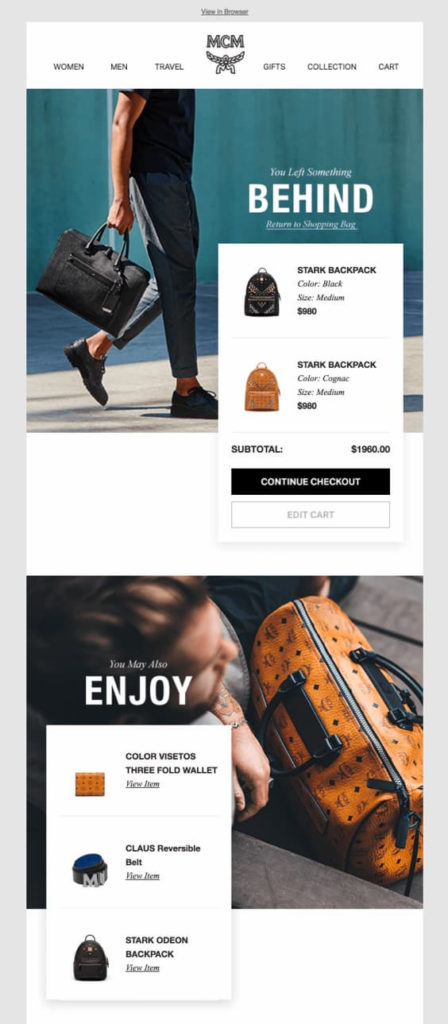 Screenshot of MCM Email