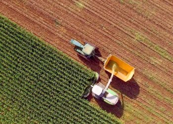 McCain Foods envisions the future of farming on Roblox