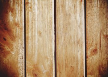 Relevance and Proportion in Desktop Publishing