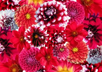 Formal and Informal Page Layouts Formats for Designing