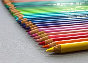 Professional Designer VS Amateur Designer