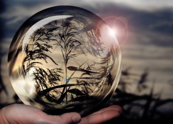 Web Design – How to Construct and Publish the Website