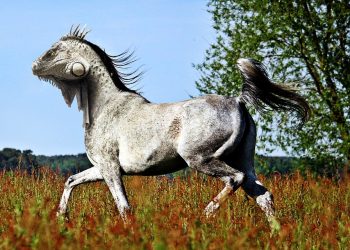 7 Tips to Choose the Right Website Design Company