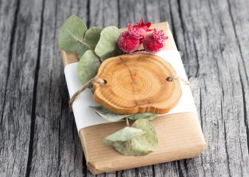 The Health, Political, Educational and Economic Roles of The Graphic Artist