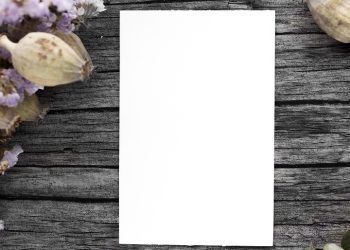 3 Graphic Design Rules for Excellent Results