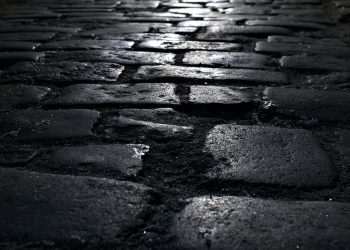 Website Design and Website Development Company