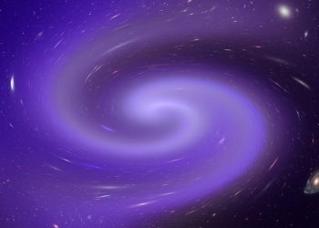 Job Offer for a Graphic Designer