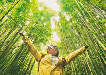 Why Brands Should Embrace Sustainability Discourse, Regardless of Credentials