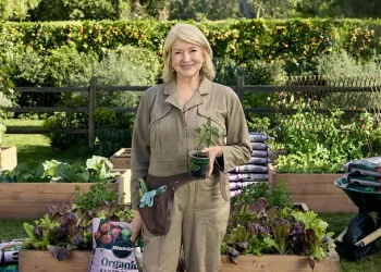 Miracle-Gro shares Martha Stewart’s gardening secrets in new campaign