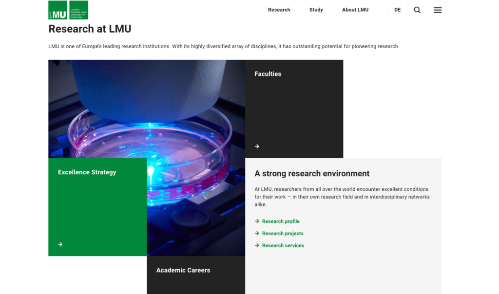 lmu-website-design