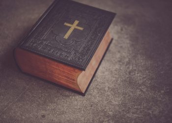 How LADbible doubled its editorial process speed – Marketing Tech News