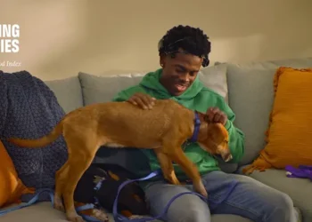 Clorox tests emotional response to cleaning for new brand platform