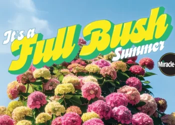 Campaign Trail: Miracle-Gro invites gardeners to have a ‘Full Bush Summer’