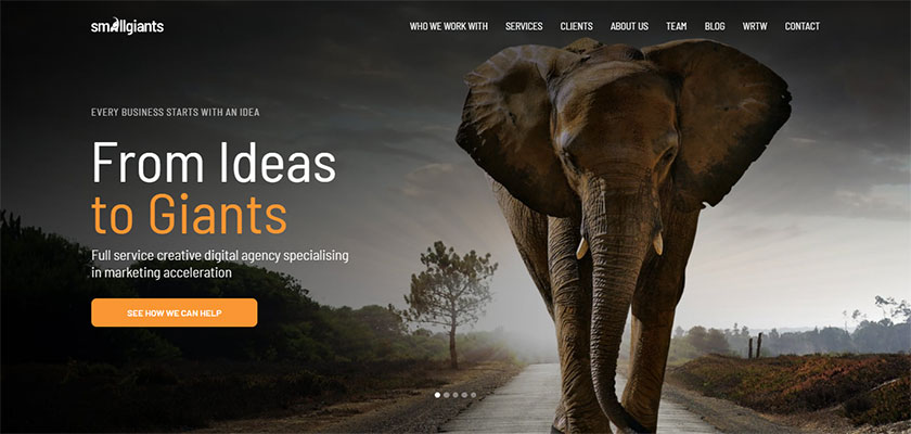 small-giants-fintech